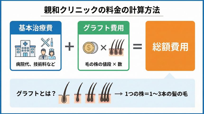 親和クリニックの植毛料金の説明をしているイラスト