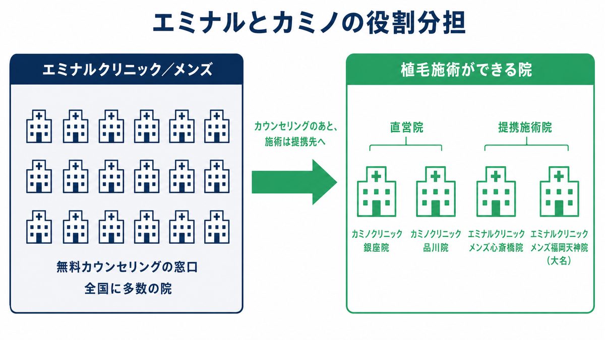 エミナルクリニックがカウンセリング窓口、カミノクリニック銀座院・品川院と提携2院が植毛施術を担う役割分担の図